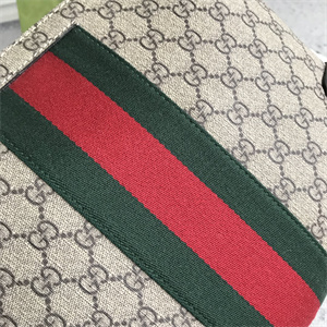 gu.cci gg S*p*e clutch with web 523603