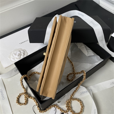 Cha.nel Wallet On Chain With Top Handle Lambskin Gold Tone Metal Brown AP3504