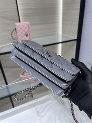 Cha.nel Wallet On Chain With Top Handle Shiny Calfskin Silver Tone Metal Grey AP3566