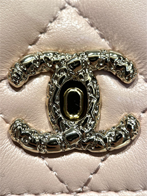 Cha.nel Wallet On Chain With Top Handle Lambskin Gold Tone Metal Light Pink AP3574