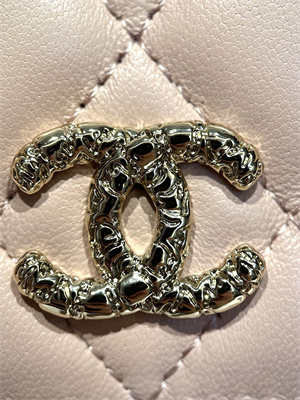 Cha.nel Wallet On Chain With Top Handle Lambskin Gold Tone Metal Light Pink AP3575