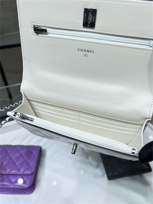 Cha.nel Wallet On Chain With Top Handle Shiny Calfskin Silver Tone Metal White AP3645