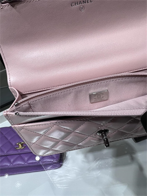 Cha.nel Wallet On Chain With Top Handle Shiny Calfskin Silver Tone Metal Pink AP3645