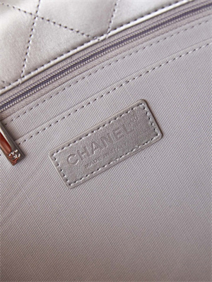 Cha.nel CF Airport Bag Calfskin Silver Tone Metal Silver AS4661