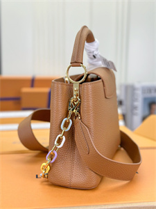 L.V Capucines BB Bag Taurillon Leather Brown M21798