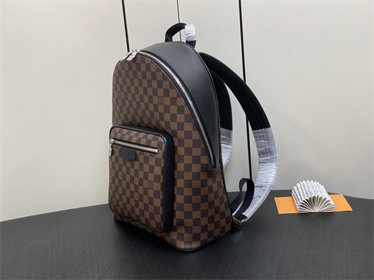 L.V Josh Backpack Damier Ebene N40365