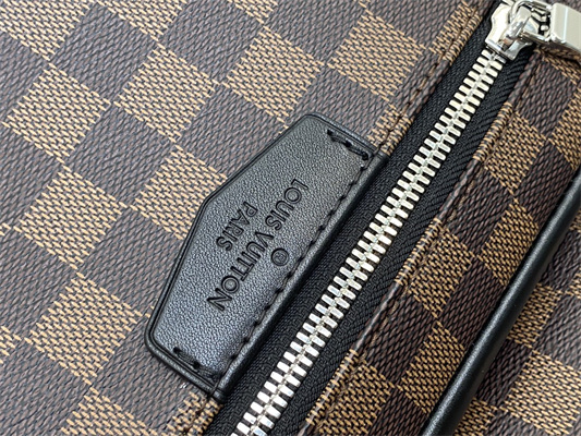 L.V Josh Backpack Damier Ebene N40365