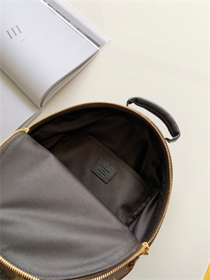 L.V Palm Springs PM Backpack Monogram Canvas M44871