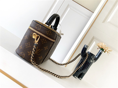 L.V Vanity PM Bag Monogram Canvas M45165