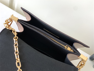 L.V Dauphine MM Bag Monogram Canvas M45958