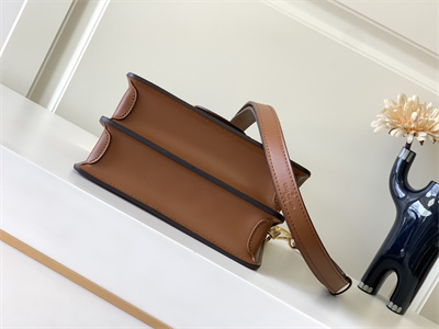 L.V Dauphine Mini Bag Monogram Canvas M45959