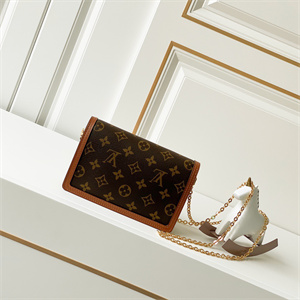 L.V Dauphine Chain Wallet Monogram Canvas M68746