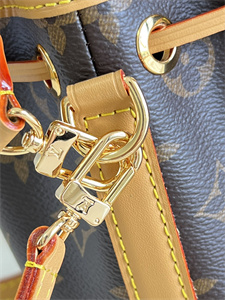 L.V Nano Noé Bag Monogram Canvas M81266