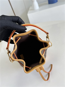 L.V Nano Noé Bag Monogram Canvas M81266