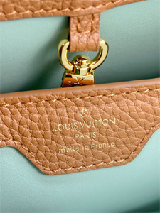 L.V Capucines MM Bag Taurillon Leather Brown M21798