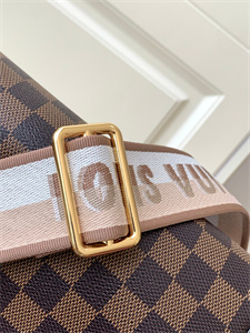 L.V Speedy Bandoulière 20 Danier Ebene N40489