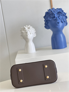 L.V Alma BB Bag Damier Ebene Canvas N41221