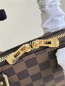 L.V Alma BB Bag Damier Ebene Canvas N41221