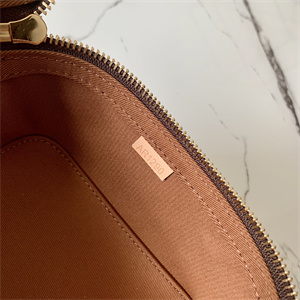 L.V Packing Cube MM Monogram Canvas M43689