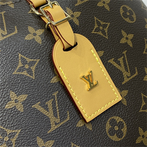 L.V Odéon MM Bag Monogram Canvas M45355