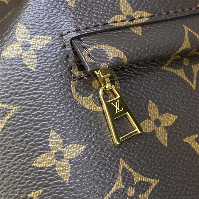 L.V Montsouris PM Backpack Monogram M45501