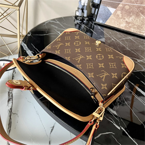 L.V Diane Bag Monogram Canvas Black M45985