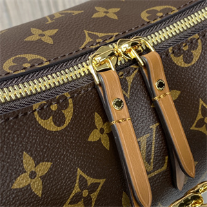 L.V Loop Hobo Bag Monogram Canvas M46311