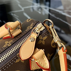 L.V Nano Speedy Monogram Canvas M81085