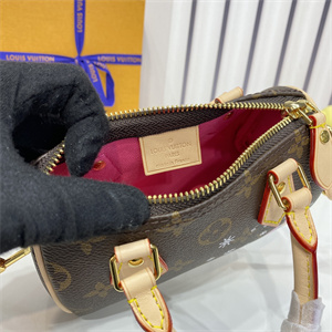 L.V Nano Speedy Monogram Canvas Vivienne M82624