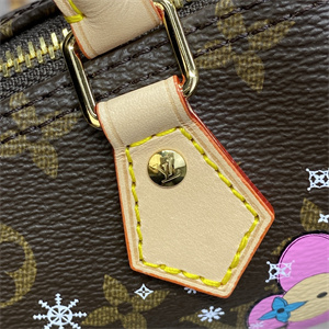 L.V Nano Speedy Monogram Canvas Vivienne M82624