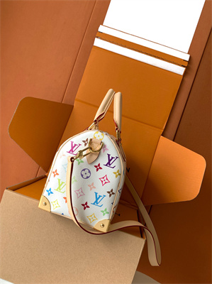 L.V x TM Speedy Bandoulière 25 Multicolored M13085 Top