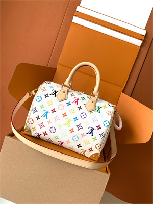 L.V x TM Speedy Bandoulière 25 Multicolored M13085 Top