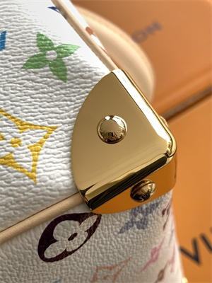 L.V x TM Speedy Bandoulière 25 Multicolored M13085 Top