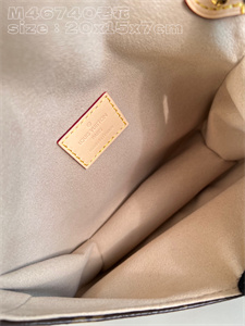 L.V Saumur BB Bag Monogram Canvas M46740