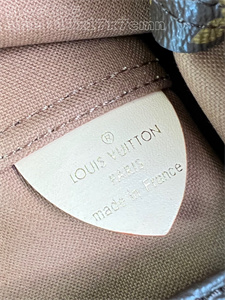 L.V Atlantis BB Bag Monogram Canvas M46816