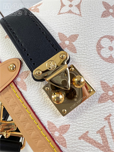 LV Side Trunk MM Monogram Canvas M46907