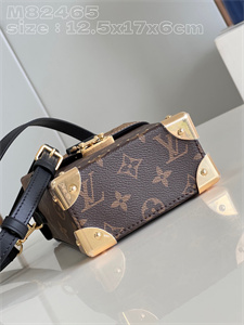 L.V Camera Box Bag Monogram Canvas M82465