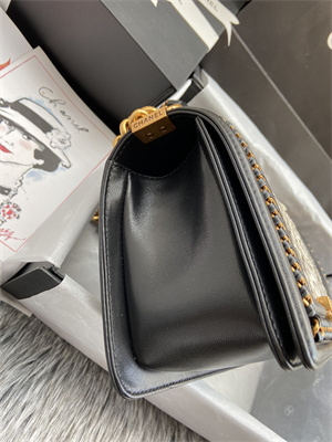 Cha.nel Medium Leboy Bag With Top Handle Python Leather Gold Metal A94804