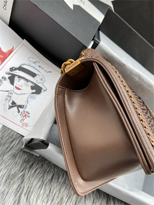 Cha.nel Medium Leboy Bag With Top Handle Python Leather Gold Metal A94804