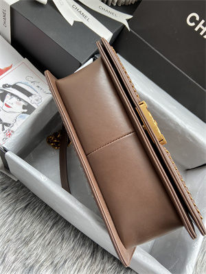 Cha.nel Medium Leboy Bag With Top Handle Python Leather Gold Metal A94804