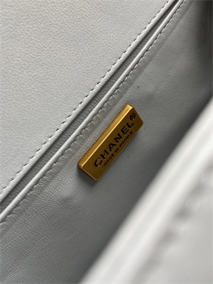 Cha.nel Medium Leboy Bag With Top Handle Python Leather Gold Metal A94804