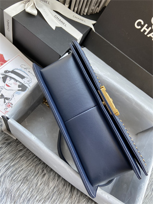 Cha.nel Medium Leboy Bag With Top Handle Python Leather Gold Metal A94804