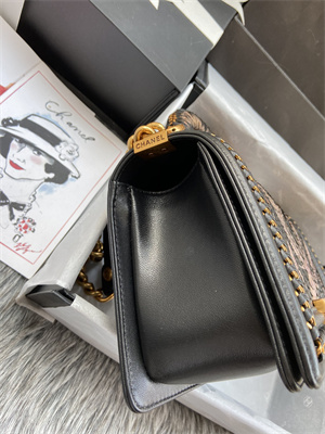 Cha.nel Medium Leboy Bag With Top Handle Python Leather Gold Metal A94804