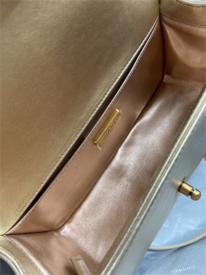 Cha.nel Medium Leboy Bag With Top Handle Python Leather Gold Metal A94804