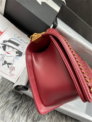 Cha.nel Medium Leboy Bag With Top Handle Python Leather Gold Metal A94804