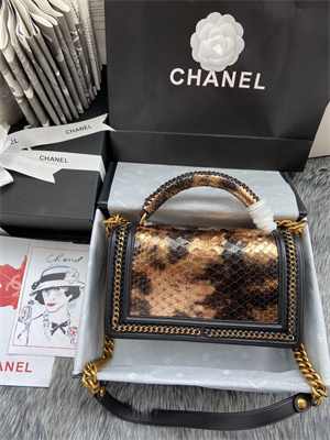 Cha.nel Medium Leboy Bag With Top Handle Python Leather Gold Metal A94804