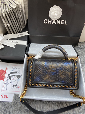 Cha.nel Medium Leboy Bag With Top Handle Python Leather Gold Metal A94804