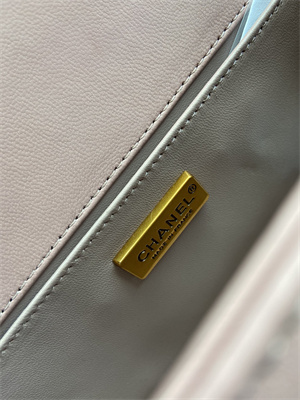 Cha.nel Medium Leboy Bag With Top Handle Python Leather Gold Metal A94804