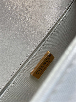 Cha.nel Medium Leboy Bag With Top Handle Python Leather Gold Metal A94804