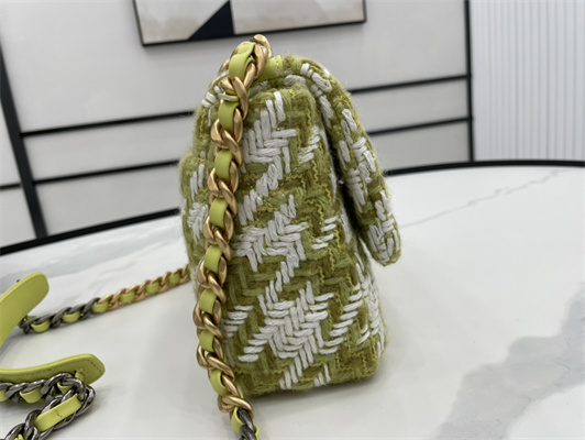 Ch*el 19 handbag wool tweed gold double c metal green/white as1160